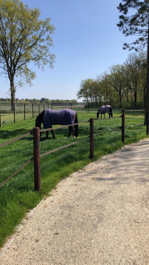 Horse And Hound Bed & Breakfast Riethoven Exterior photo