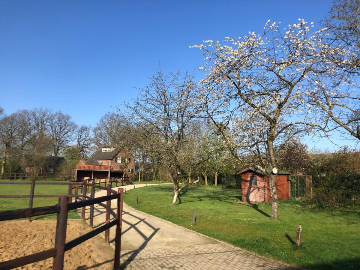 Horse And Hound Bed & Breakfast Riethoven Exterior photo